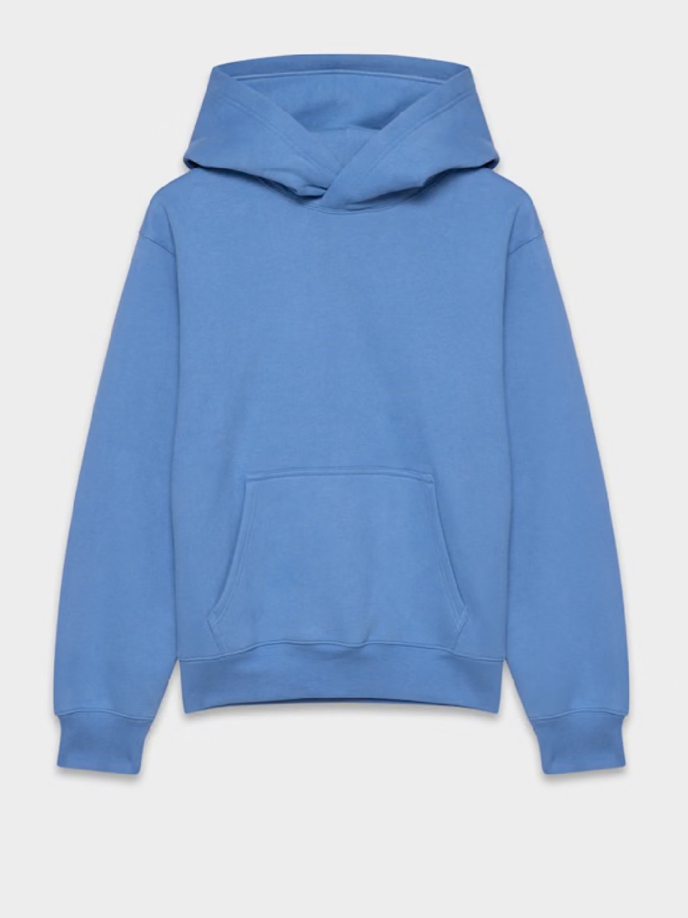 Aritzia Cozy Sweatfleece Perfect Hoodie